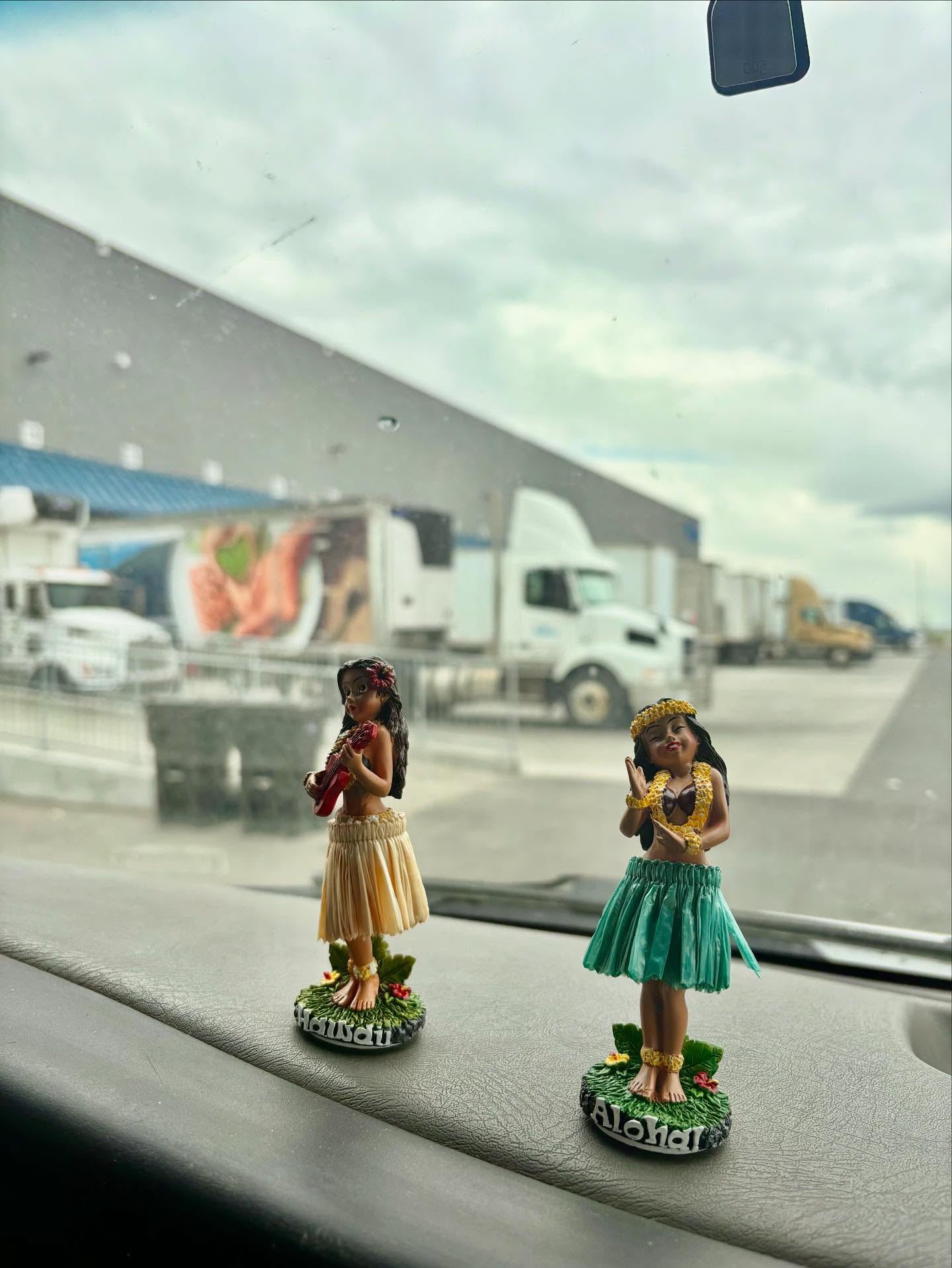 Sysco delivery today! Work meeting in the truck and fitting in with the big dogs, kinda… our truck has better vibes 🌴🌺😃

#cutflour #cutcooking #hawaiivibes #sysco #foodservice #glutenfree #celiacsafe #calgaryrestaurants #eatglutenfree #gfyyc